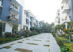 The Golden Estate-1